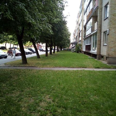 Anykstuko Butas Apartment Anykščiai Екстериор снимка