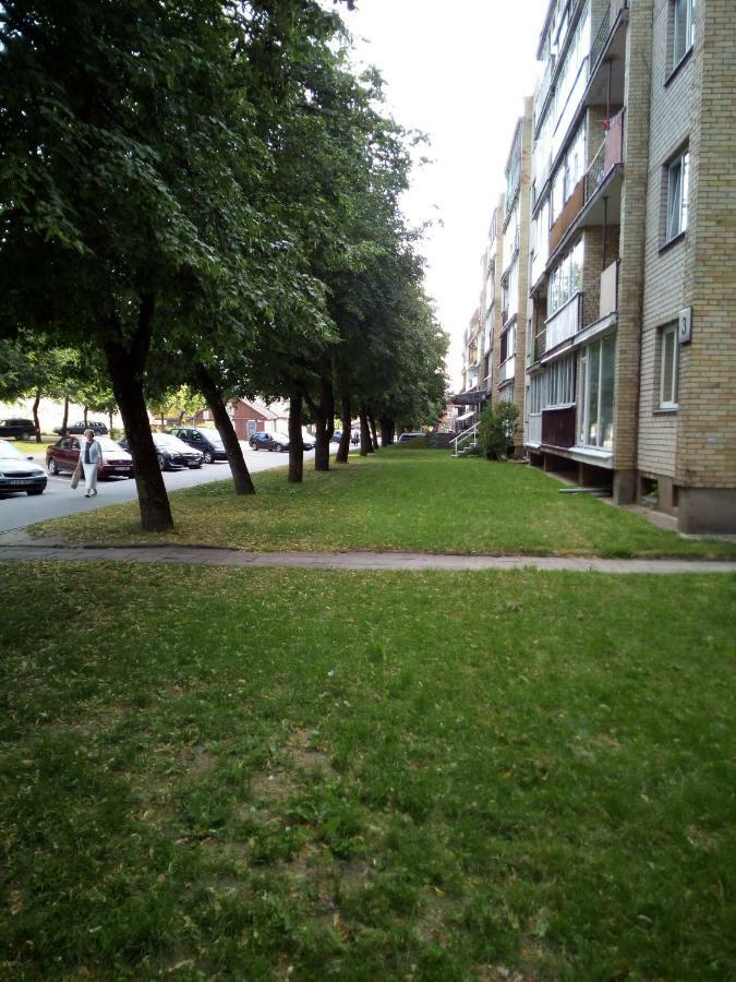 Anykstuko Butas Apartment Anykščiai Екстериор снимка