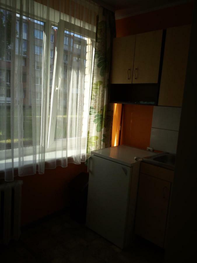 Anykstuko Butas Apartment Anykščiai Екстериор снимка