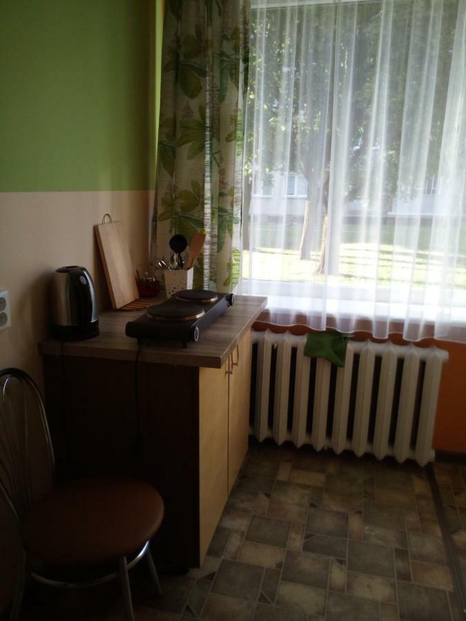 Anykstuko Butas Apartment Anykščiai Екстериор снимка